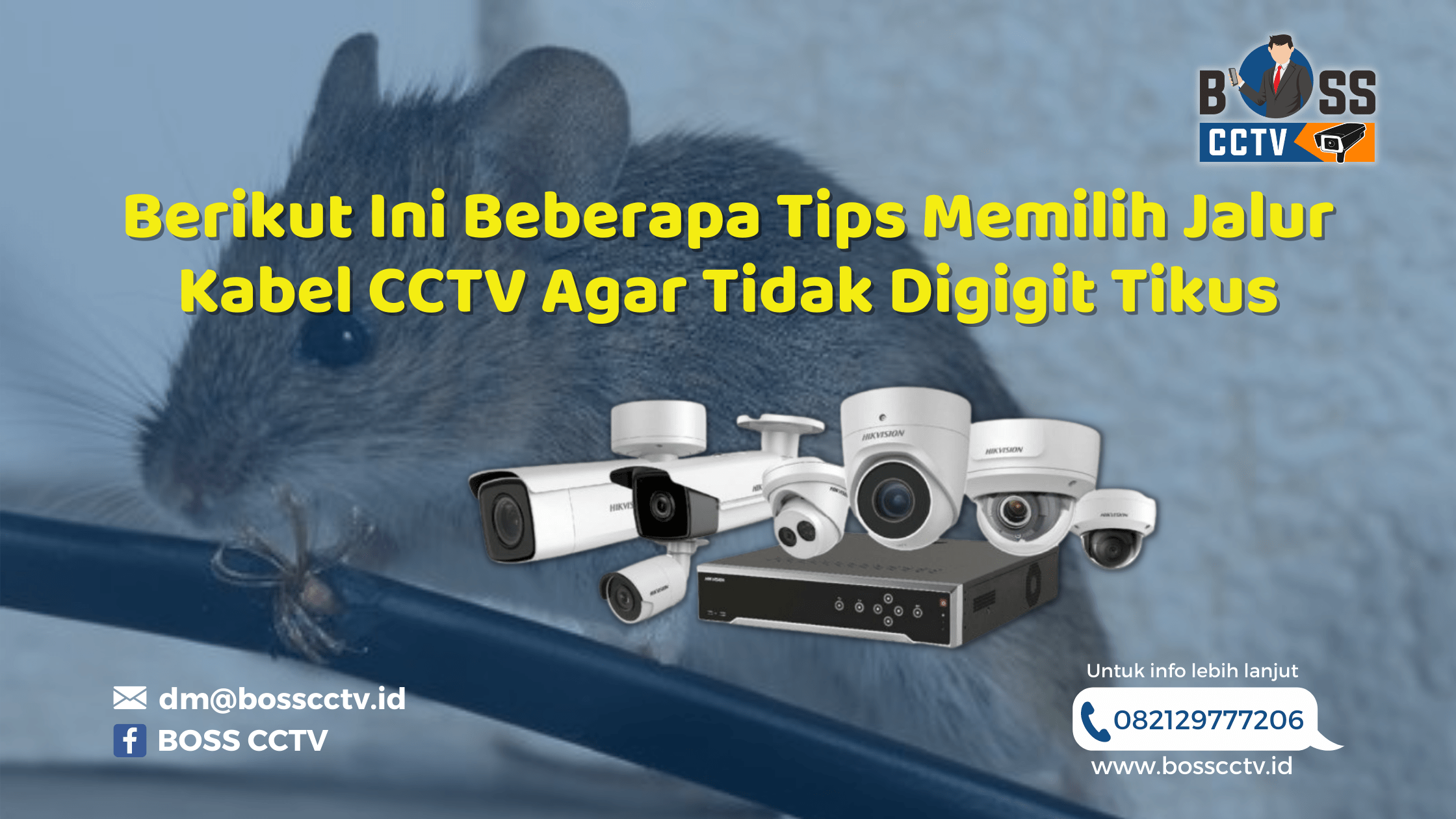Berikut Ini Beberapa Tips Memilih Jalur Kabel CCTV Agar Tidak Digigit Tikus